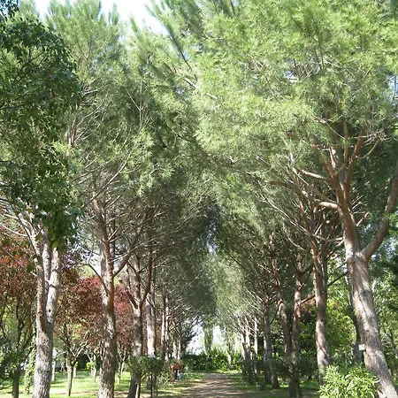 Le Rebau Camping Montblanc