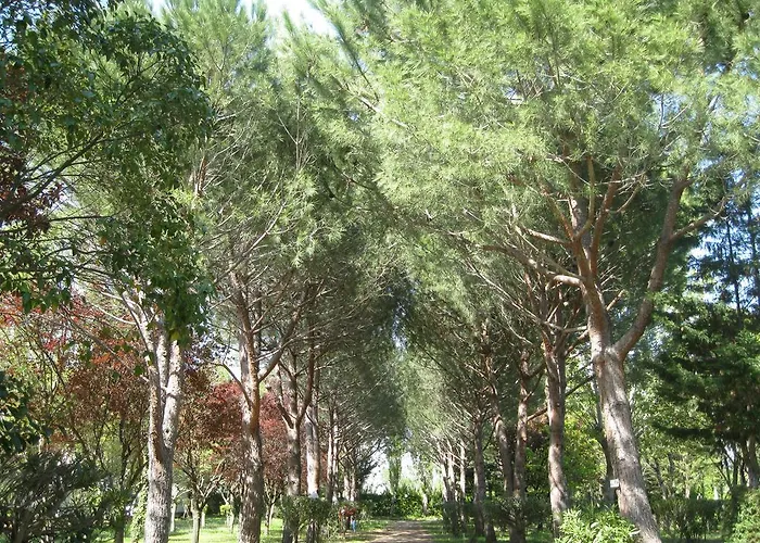 Le Rebau Camping Montblanc